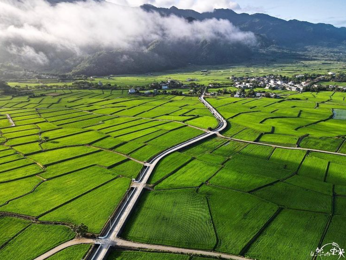 Taitung Mr. Brown Avenue Biking